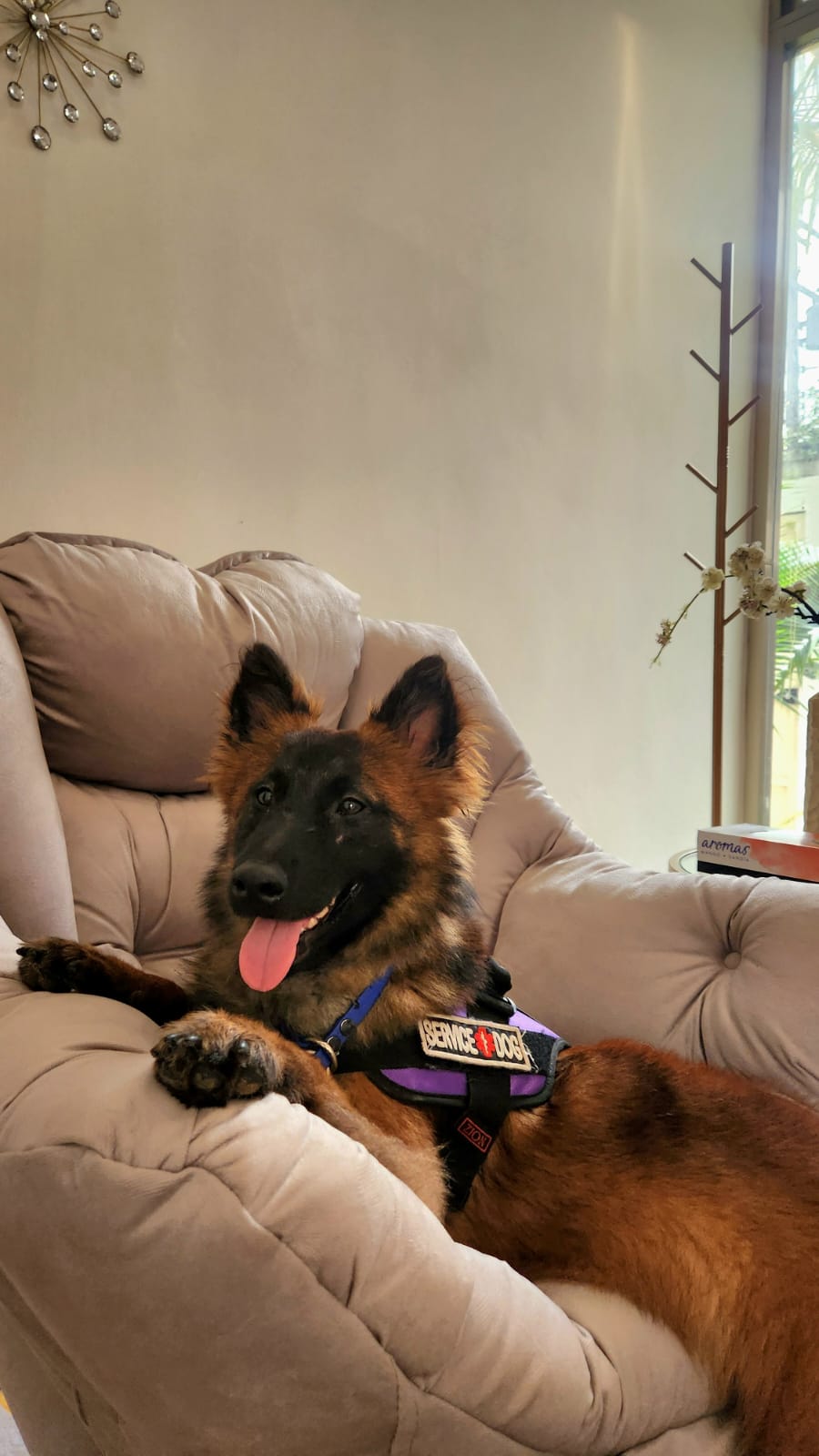 Bonnie